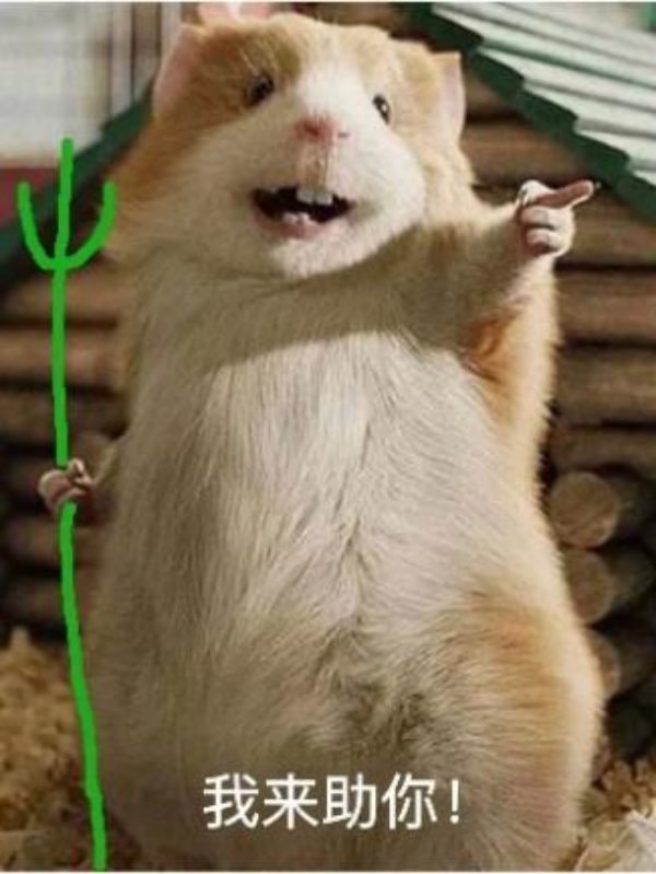 image3.jpeg